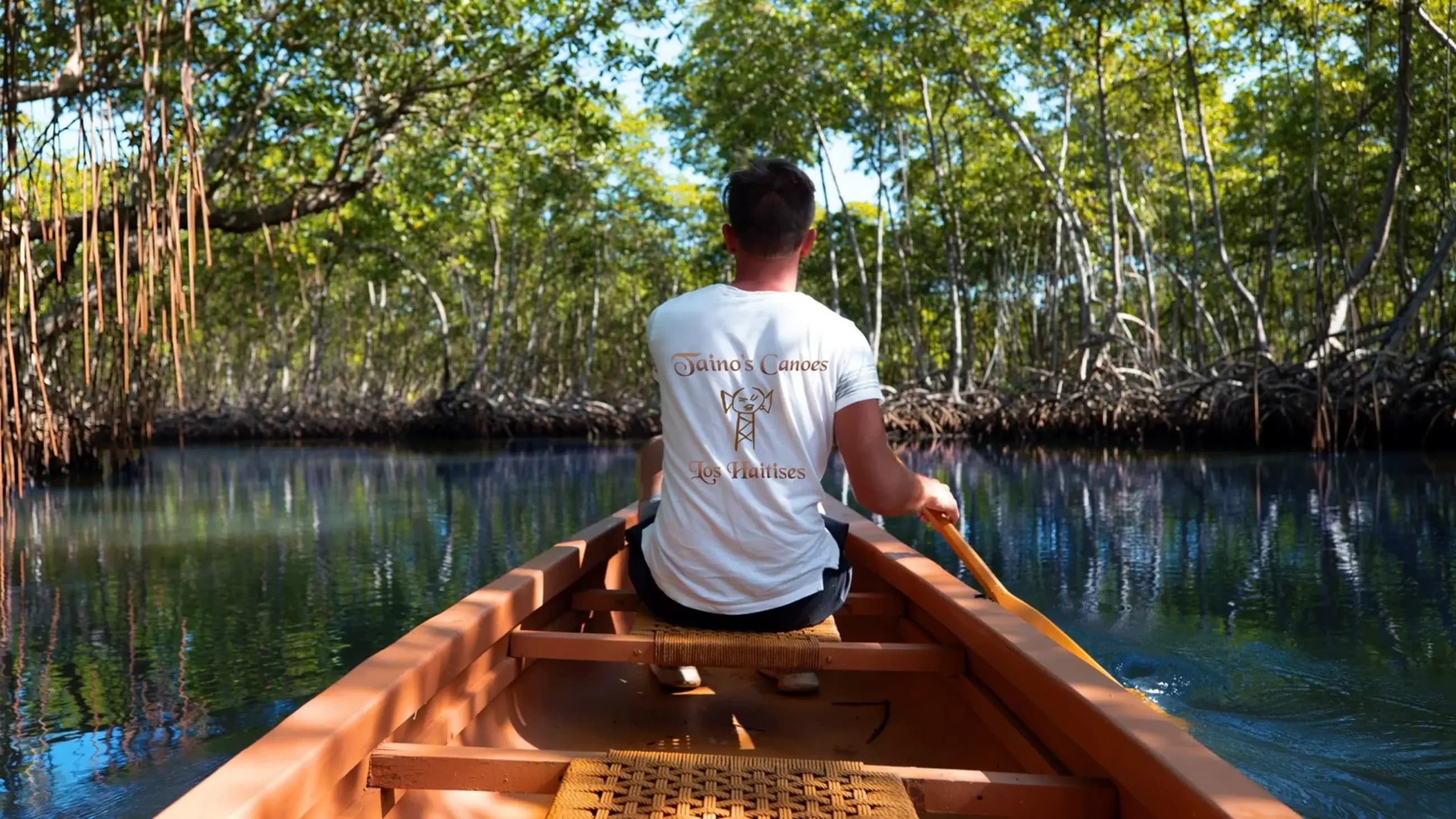 Small boat excursion navigating mangrove channels and wildlife in Los Haitises National Park