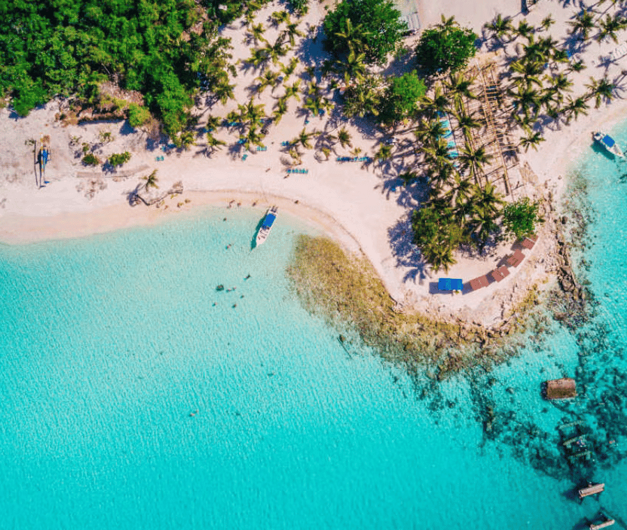 Excursion to Saona Island:Tropical Paradise whit Lunch — Guided tour and outdoor activity