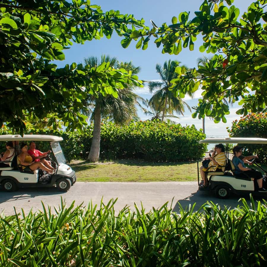 Golf Cart Eco Tour Half Day Tour — Guided tour and outdoor activity