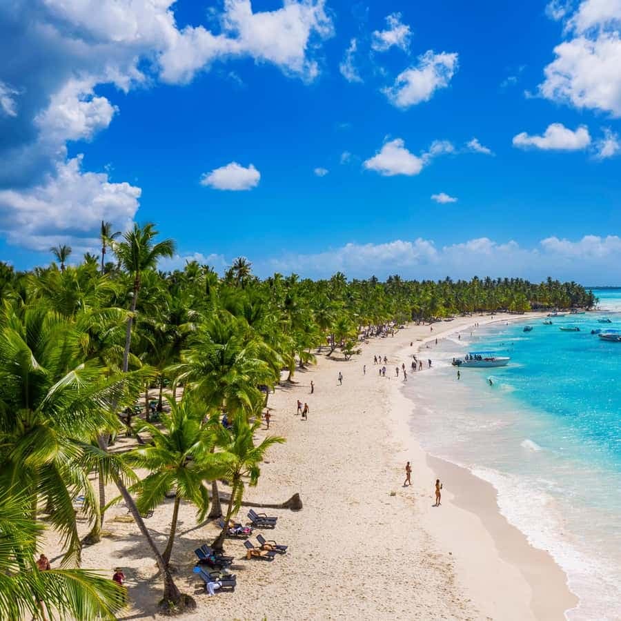 Punta Cana: Saona Island Day Tour and Catamaran Party — Guided tour and outdoor activity