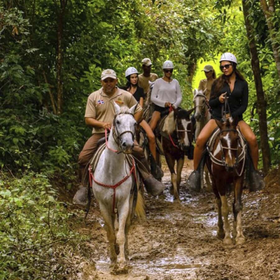 Bayahibe: Buggy and Horseback Riding Tour — Guided tour and outdoor activity