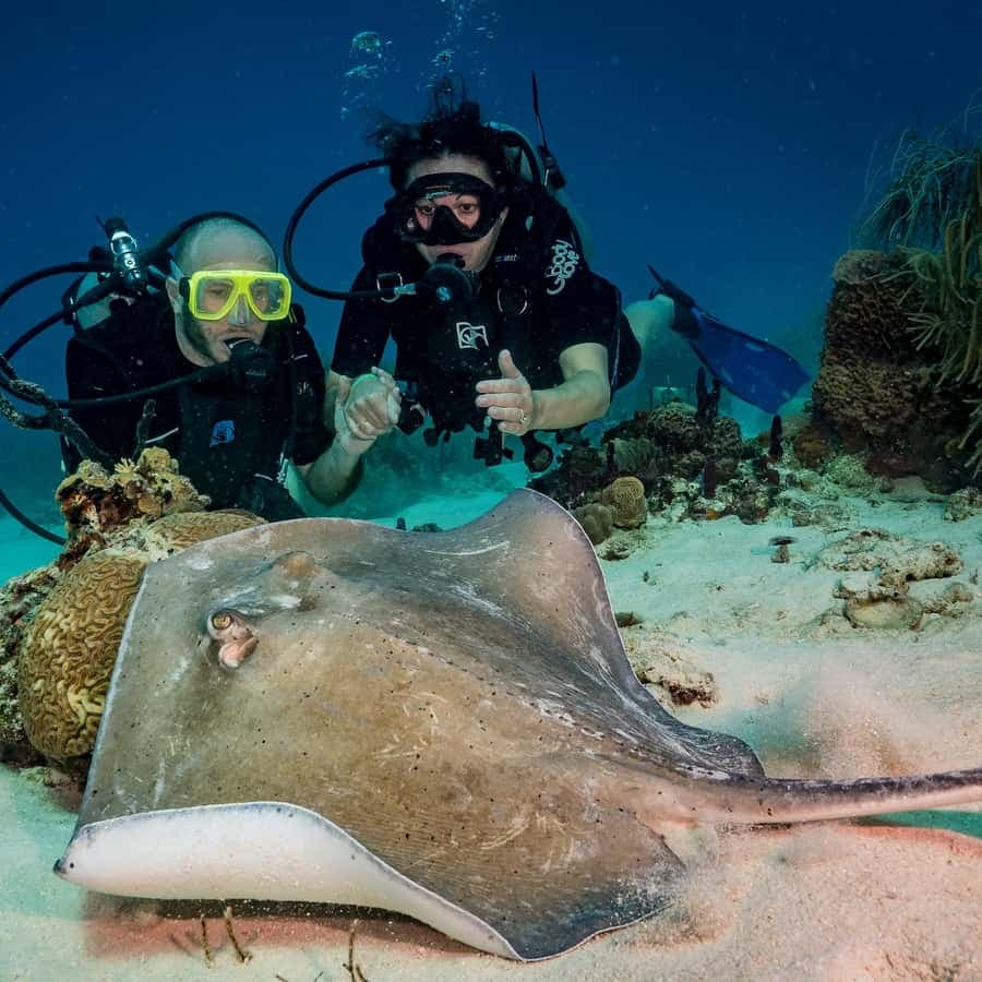 Bayhibe: Private 2 Tank Scuba Dive tour in the National Park — Guided tour and outdoor activity