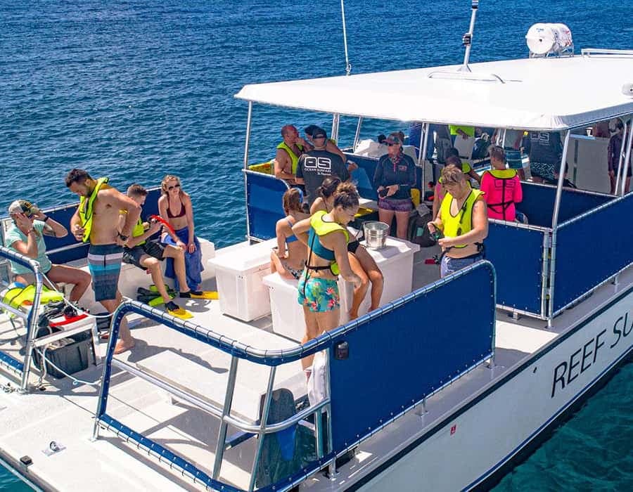 Saona Island Private: +10 People Catamarán — Guided tour and outdoor activity