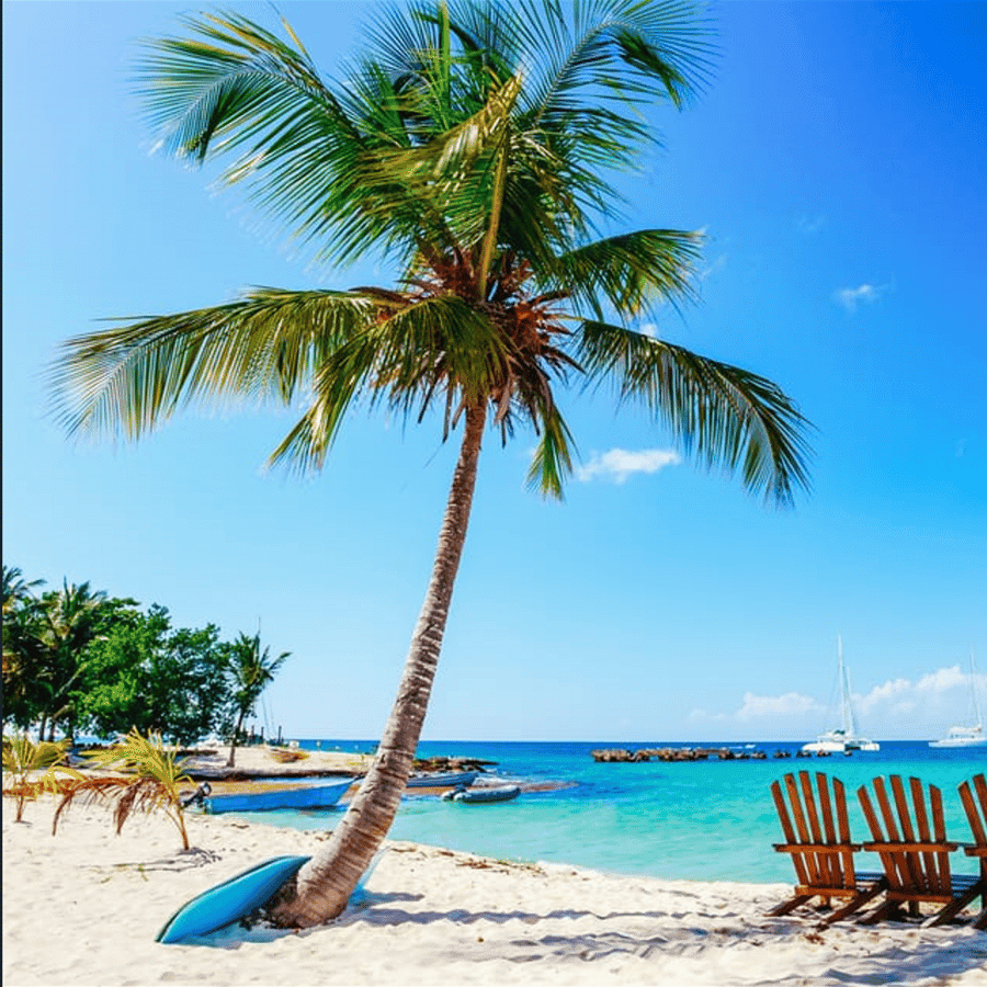 Punta Cana: 2-Day Saona Island and Los Haitises Adventure — Guided tour and outdoor activity