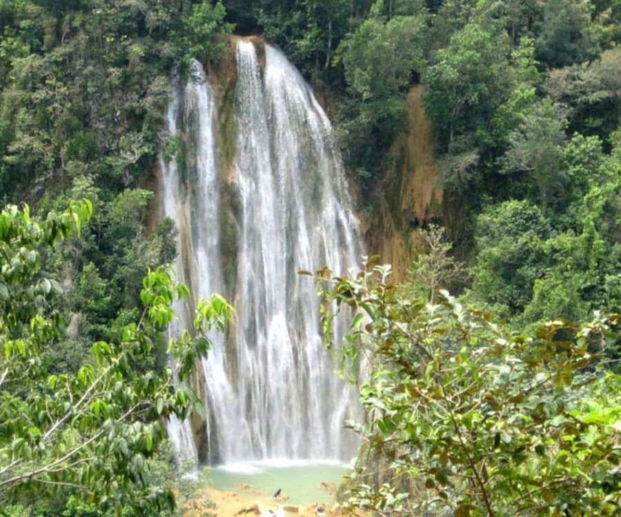 Samana Whale watching and Bacardi Island from Punta Cana — Guided tour and outdoor activity