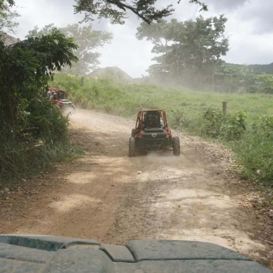 From Punta Cana or La Romana: Sugarcane Fields Buggy or Quad — Guided tour and outdoor activity