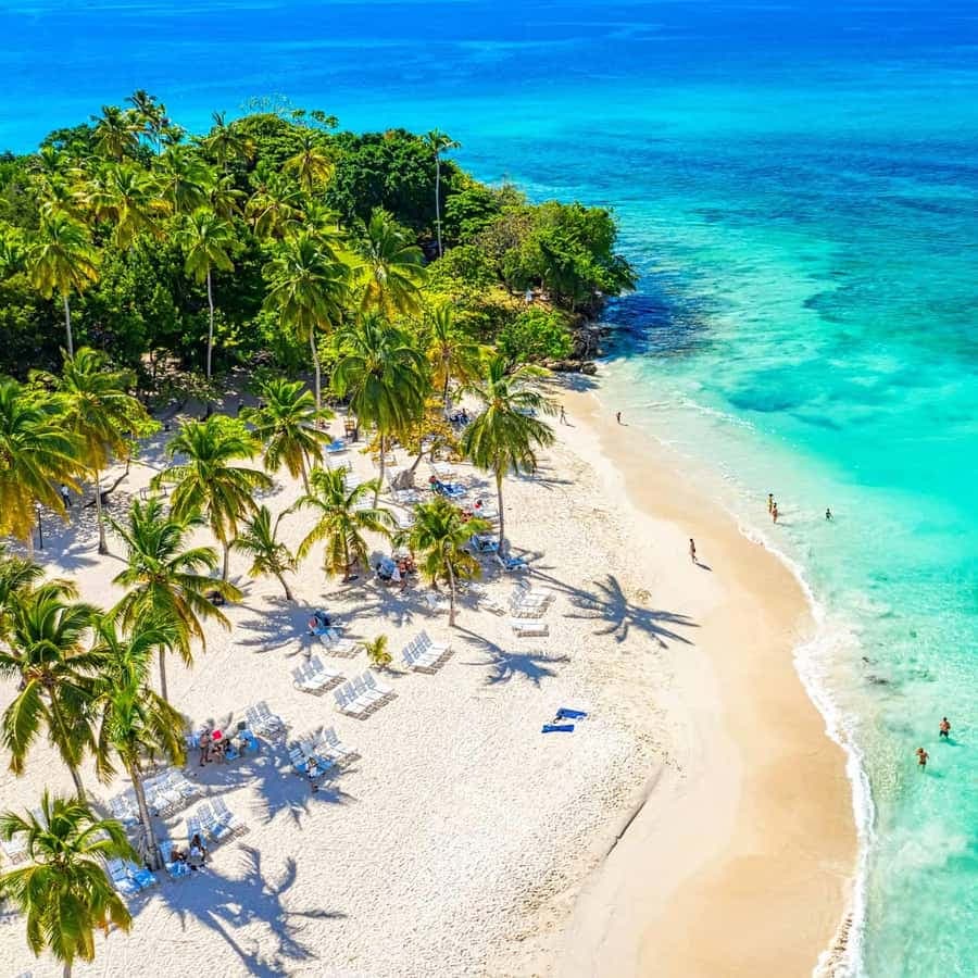 From Punta Cana: Samana and Bacardi Island Cruise and Tour — Guided tour and outdoor activity