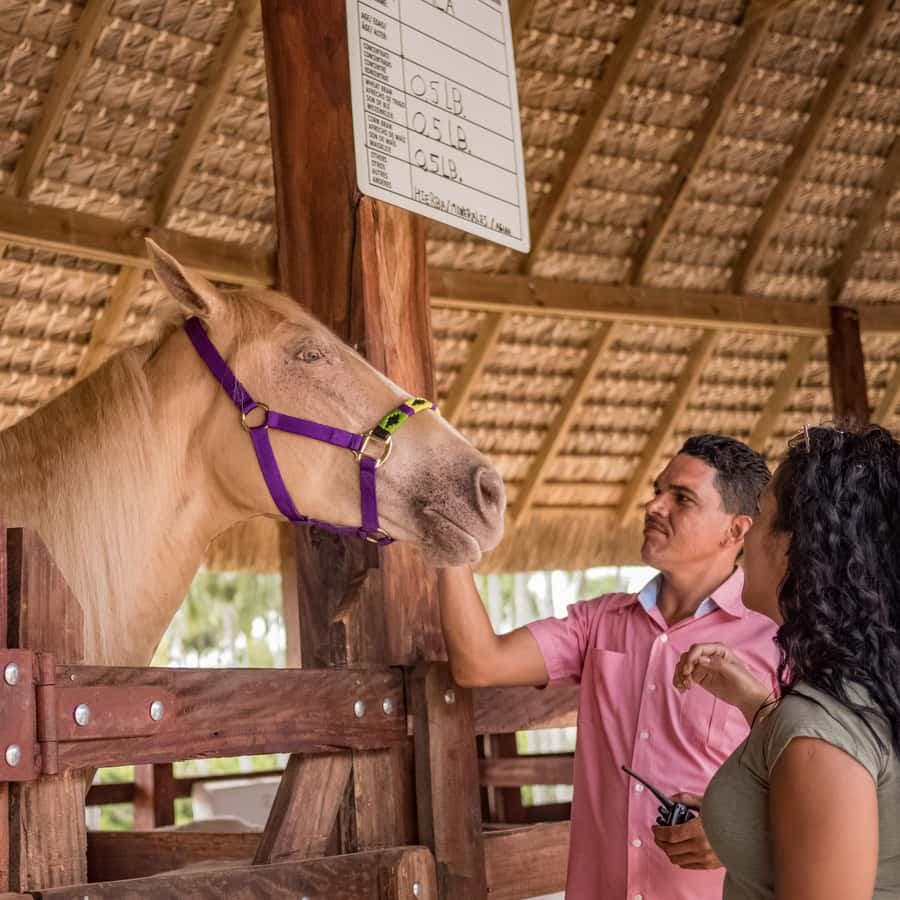 Eco Park Safari Adventure — Guided tour and outdoor activity