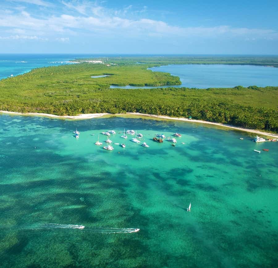 Punta Cana: Catamaran Tour with Food, Drinks, and Snorkeling — Guided tour and outdoor activity