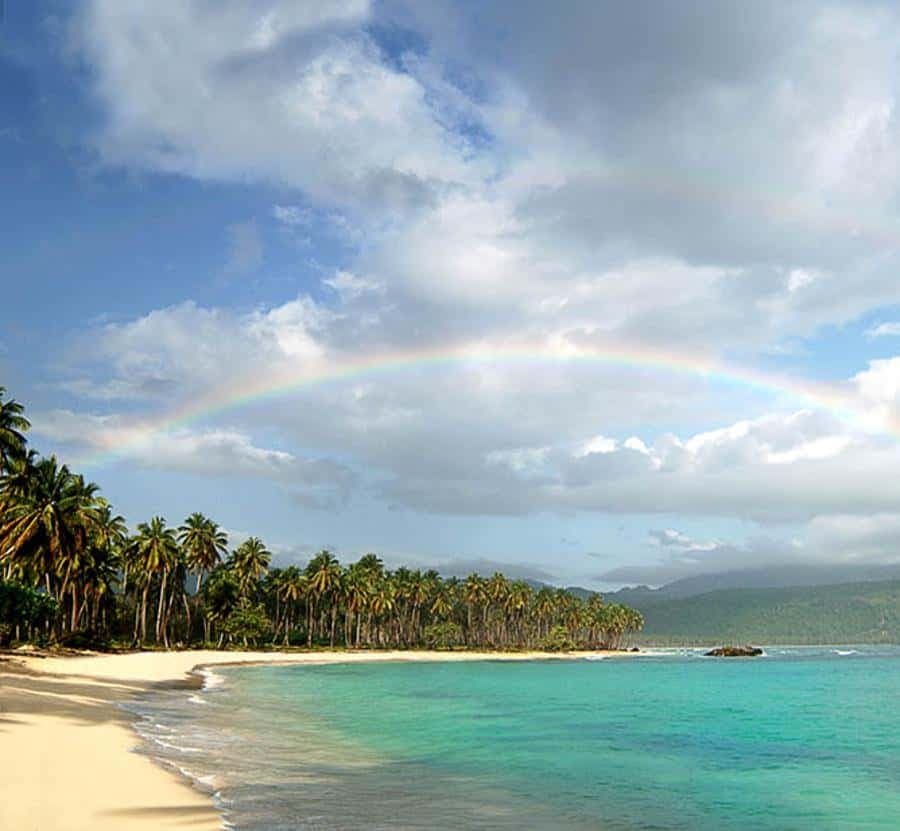 From Punta Cana: Whale Watching and Beaches Day Trip — Guided tour and outdoor activity
