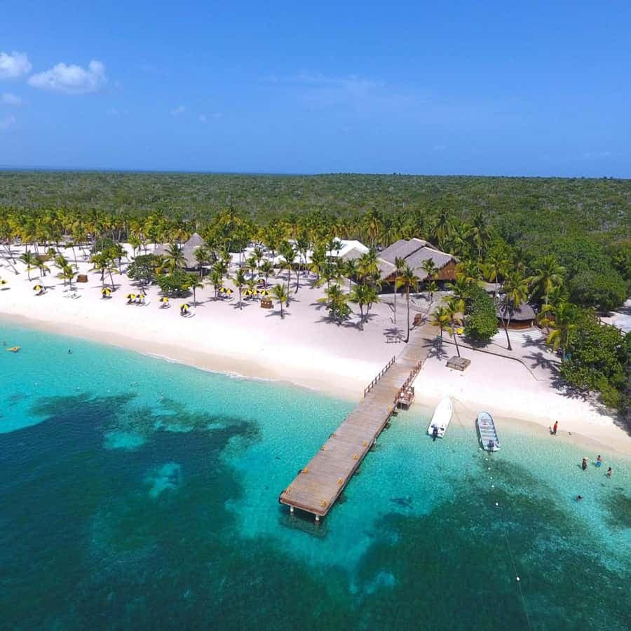 Bayahibe: Catalina Island Snorkeling and Diving Tour — Guided tour and outdoor activity