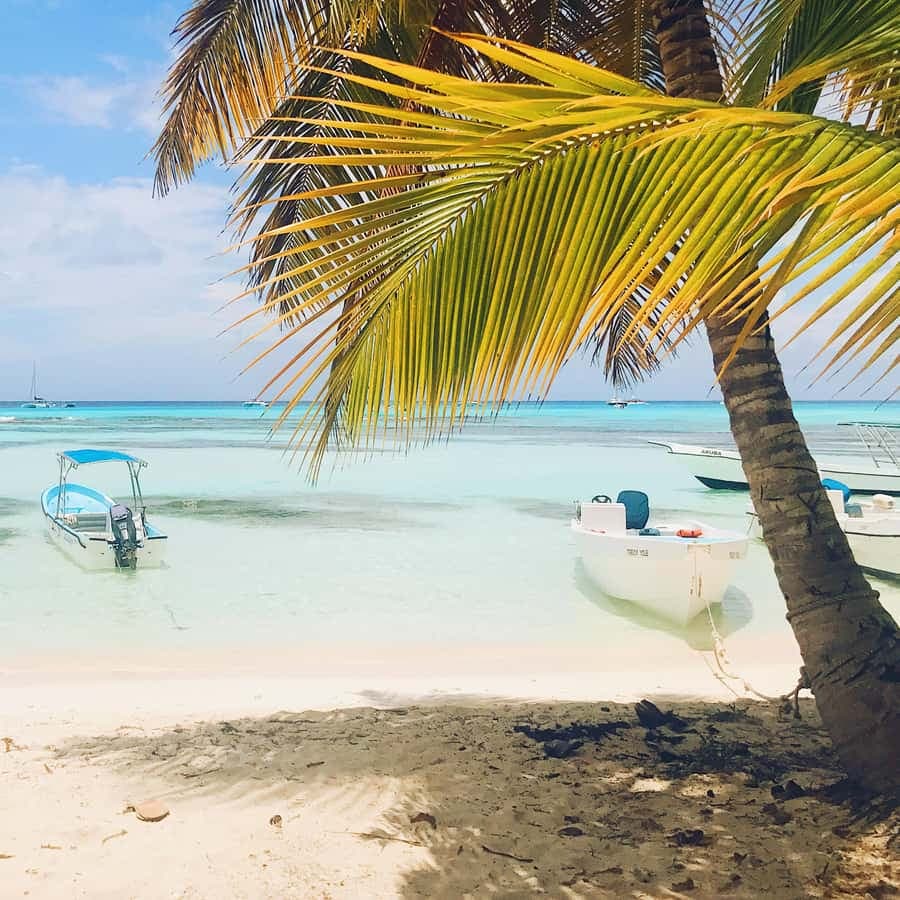 Bayahibe: Saona Island Sailing in catamaran with open bar — Guided tour and outdoor activity