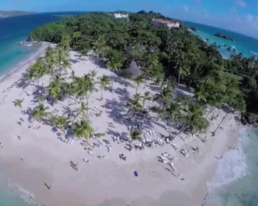 Bayahibe to Samaná Whale Watching | Private Catamaran Tour — Guided tour and outdoor activity