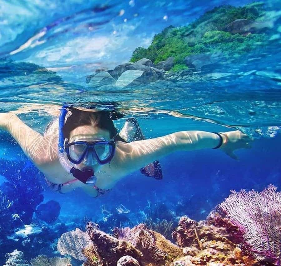 Punta Cana: Catalina Island Scuba Diving Day Trip — Guided tour and outdoor activity
