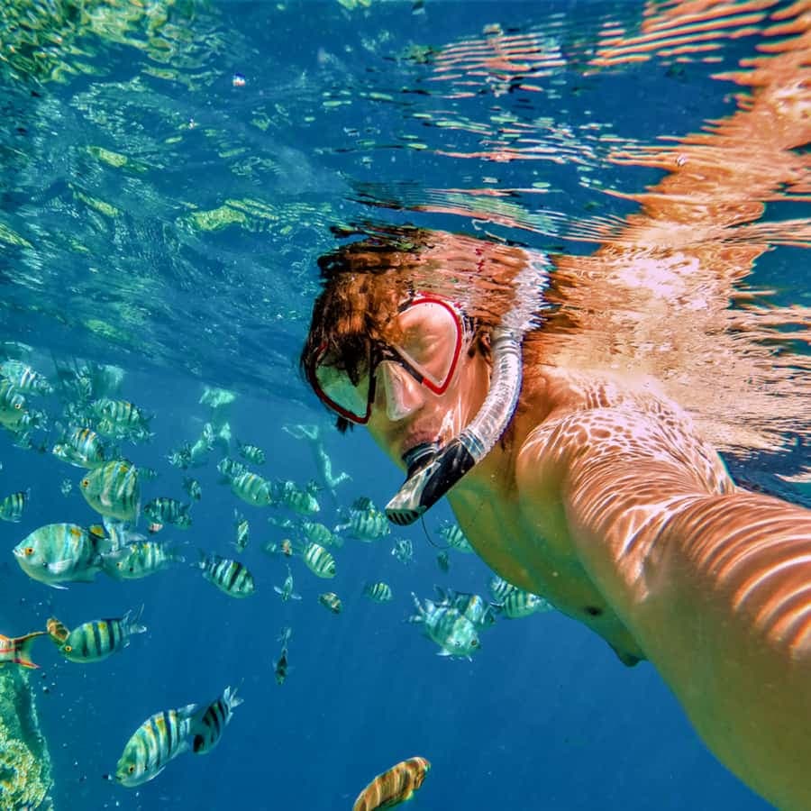Bayahibe: Catalina Island Snorkeling and Diving Tour — Guided tour and outdoor activity