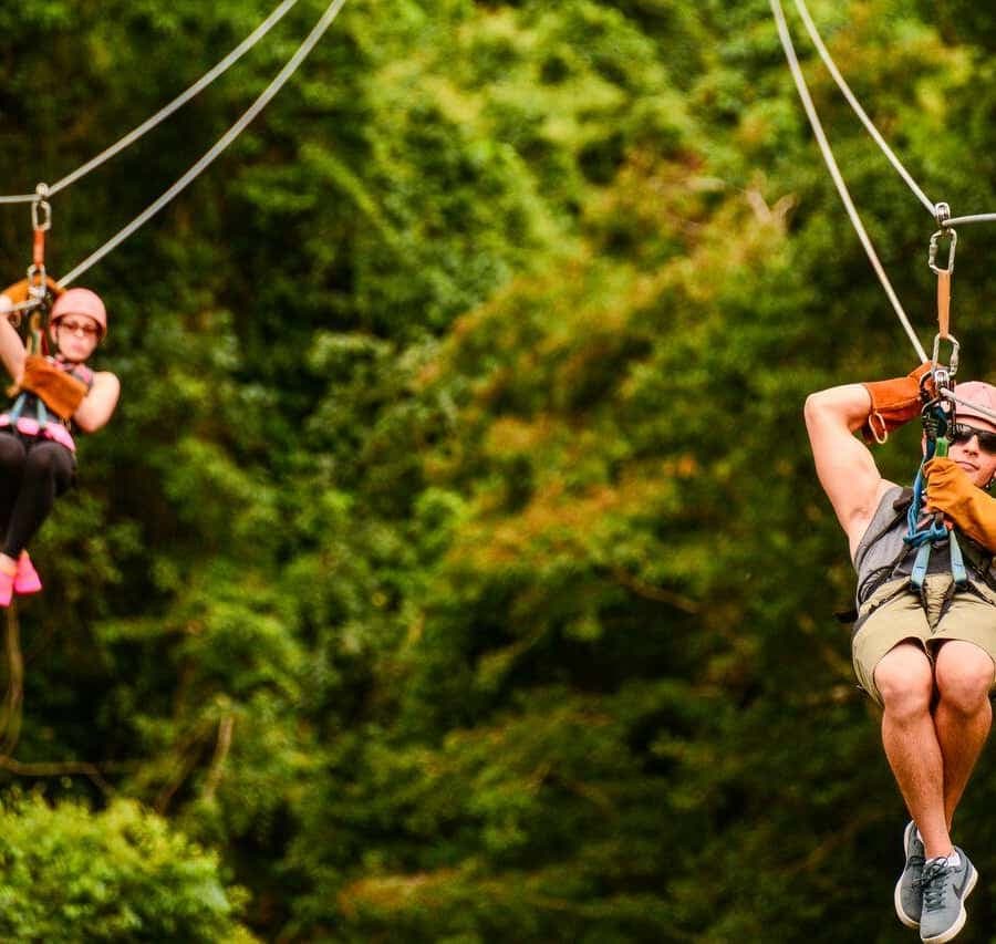 Monkeyland Punta Cana Natural Jungle and Guided Safari Tour — Guided tour and outdoor activity