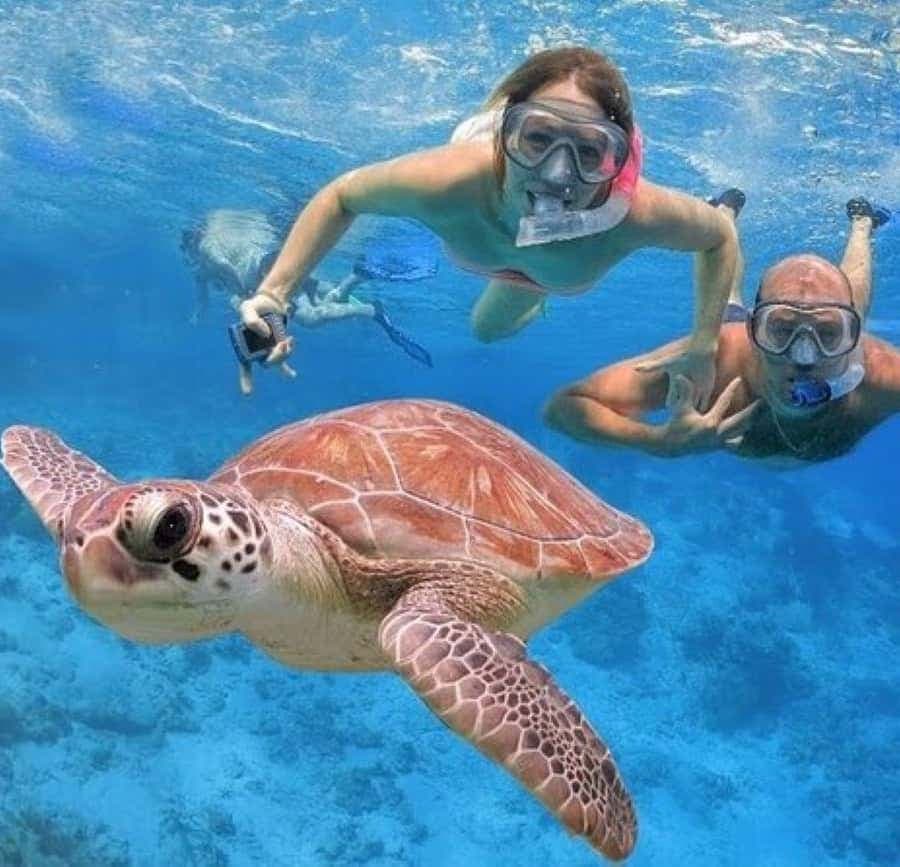 Punta Cana: Catalina Island Classic or VIP Sailing Tour — Guided tour and outdoor activity