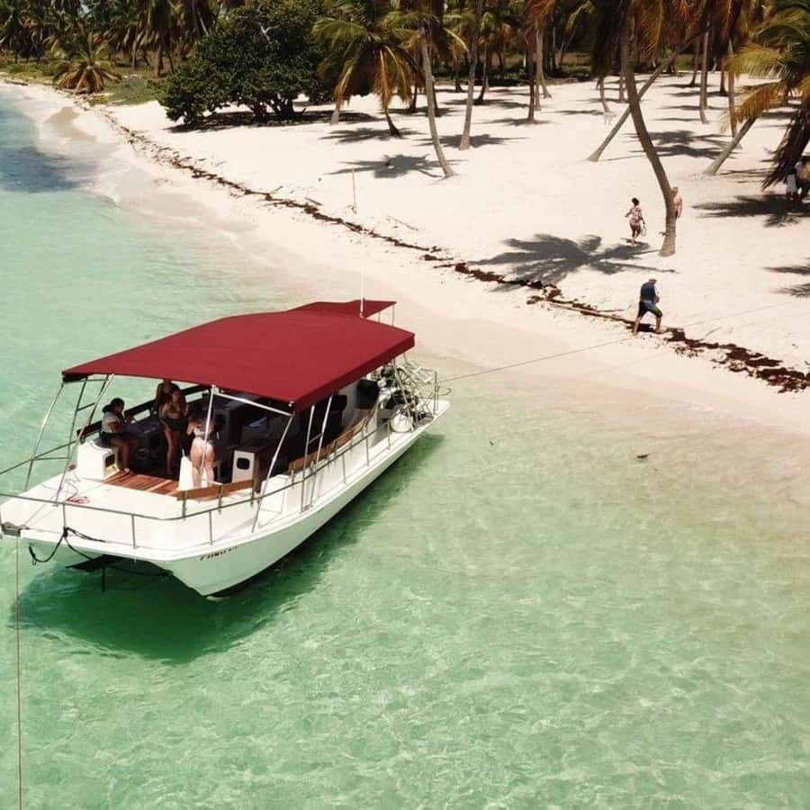 Saona Island and Canto de la Playa Boat Trip Adventure — Guided tour and outdoor activity