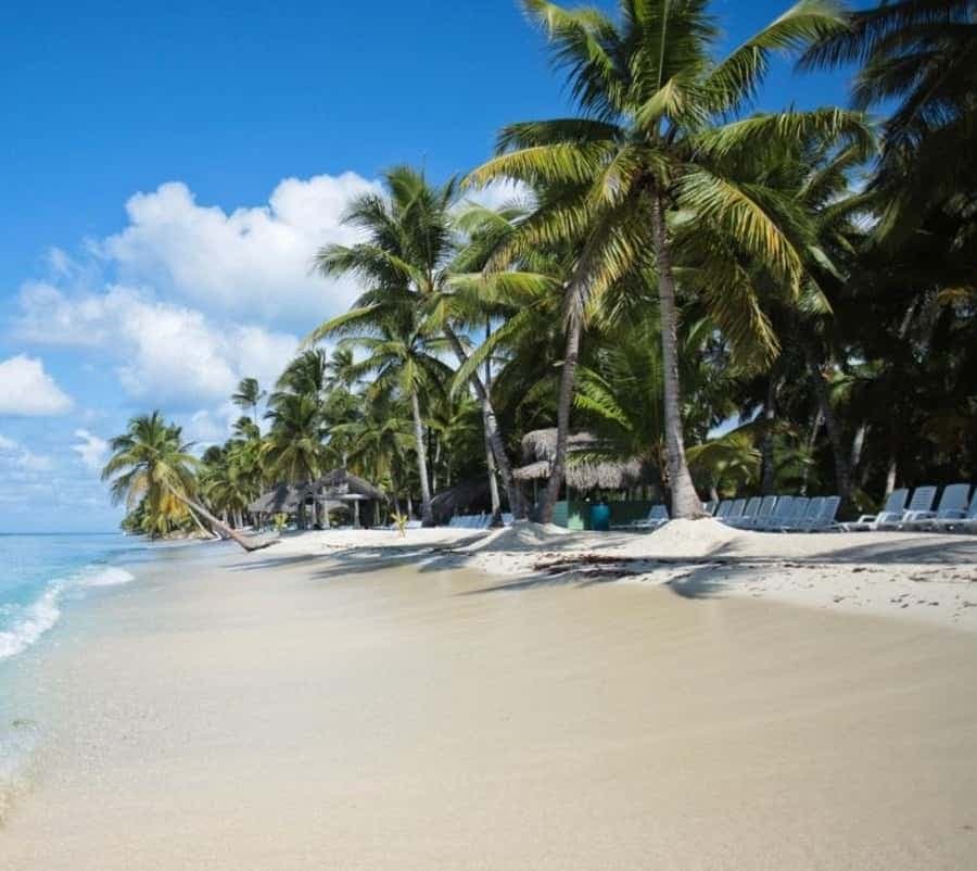 Saona Island all day with lunch and open bar departing from Punta Cana — Guided tour and outdoor activity