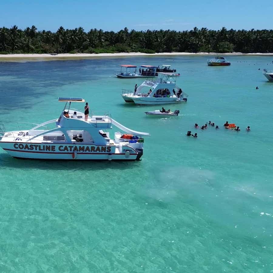 Punta Cana: Catamaran Tour with Reef Snorkeling and Open Bar — Guided tour and outdoor activity