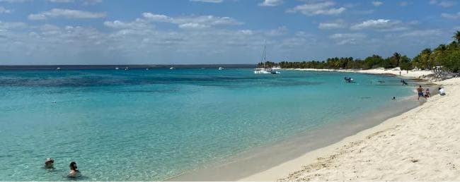 Punta Cana: Catalina Island Snorkeling and lunch Day Trip — Guided tour and outdoor activity