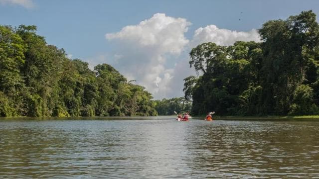 Canoe Tour in Tortuguero National Park *BEST IN TOWN* — Guided tour and outdoor activity