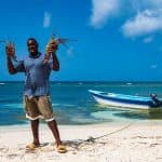 Saona Island – ¡Full Day Open Bar, Lunch and Round Trip! — Guided tour and outdoor activity