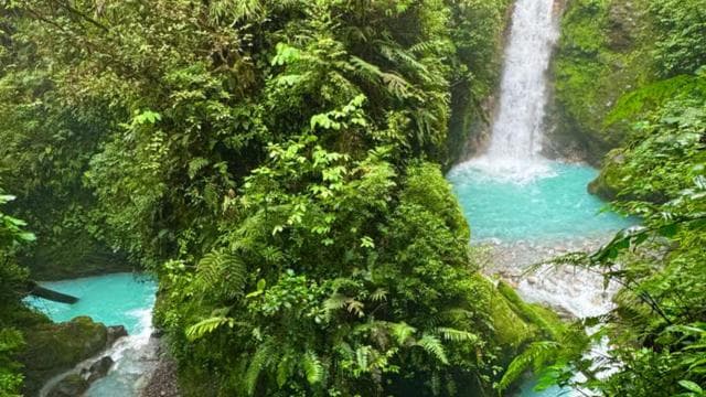 Quepos: White-Water Rafting on the Scenic Savegre River — Guided tour and outdoor activity