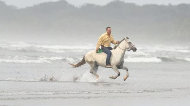 Esterillos Este: Manuel Antonio Beach Horseback Ride — Guided tour and outdoor activity