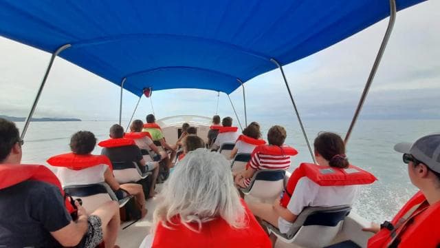 Uvita: Whale & Dolphin Watching Boat Trip w/ Drinks & Snacks — Guided tour and outdoor activity