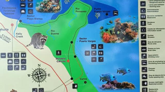Snorkeling +Guided Hike at Cahuita National Park — Guided tour and outdoor activity