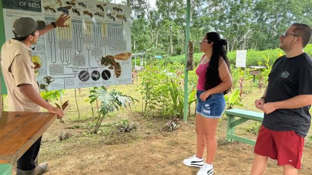 La Fortuna: Arenal Bee Garden Tour — Guided tour and outdoor activity