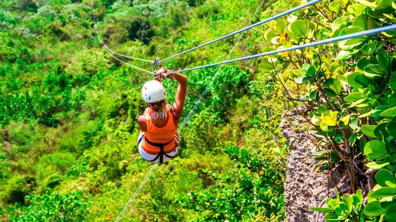 Las Terrenas : Adrenaline Zipline Adventure Tour in Samana — Guided tour and outdoor activity
