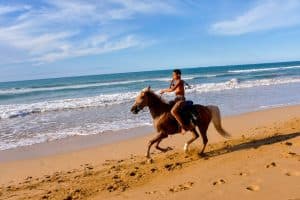 Puerto Plata: Horseback Riding on the Beach — Guided tour and outdoor activity