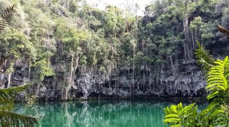 Santo Domingo: Natural Treasures of the City — Guided tour and outdoor activity