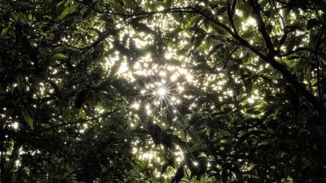 Full Day Adventure Corcovado — Guided tour and outdoor activity
