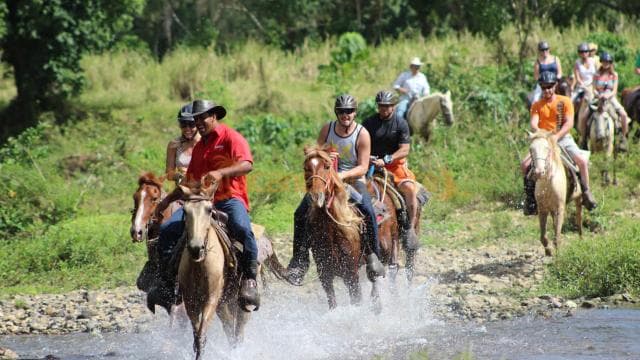 Horseback Riding Tour of Punta Cana — Guided tour and outdoor activity