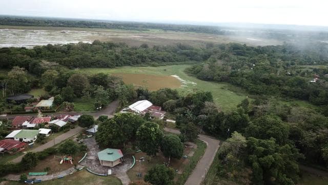 Caño Negro: rivers and lagoons: bird, flora and fauna tour — Guided tour and outdoor activity
