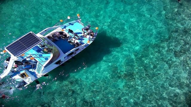 Punta Cana: Catamaran Party Cruise, Snorkeling and Open Bar — Guided tour and outdoor activity