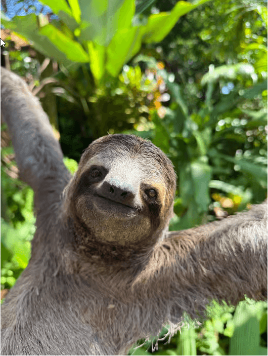 Manuel Antonio National Park: Guided Tour with ENTRANCE FEE INCLUDED — Guided tour and outdoor activity