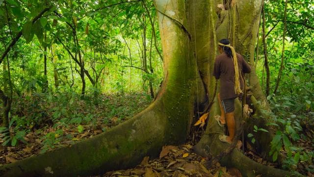 La Fortuna: Small-Group Maleku Indigenous Reserve Visit — Guided tour and outdoor activity
