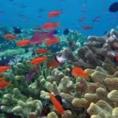 Valentine's getaway in Puerto Plata — Guided tour and outdoor activity