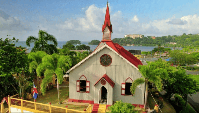 Samana: Los Haitises National Park & Cayo Levantado Tour — Guided tour and outdoor activity
