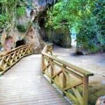 Los Haitises National Park Tour from Las Terrenas, Samaná. Half Day Trip. Lunch at Caño Hondo — Guided tour and outdoor activity