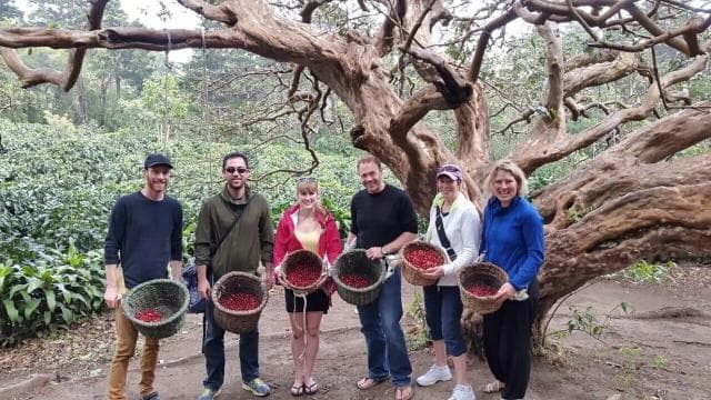 Monteverde: Coffee Farm & Roastery Tour with Tasting — Guided tour and outdoor activity