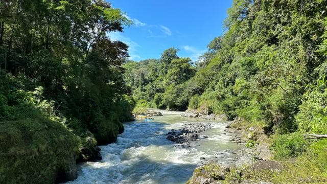 Pacuare River Rafting — Guided tour and outdoor activity