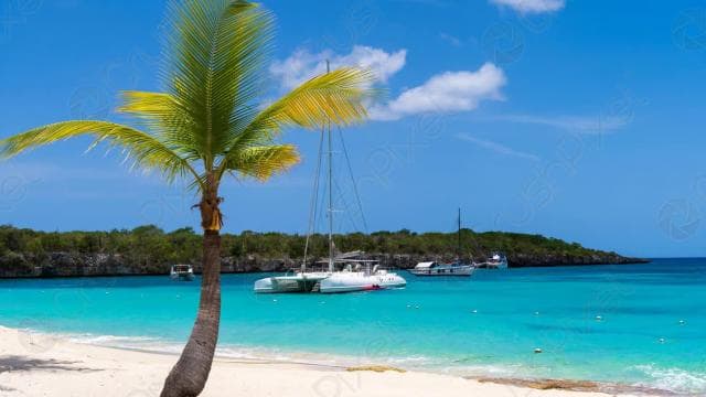 Punta Cana: Catalina Island Catamaran, Lunch and Snorkel — Guided tour and outdoor activity