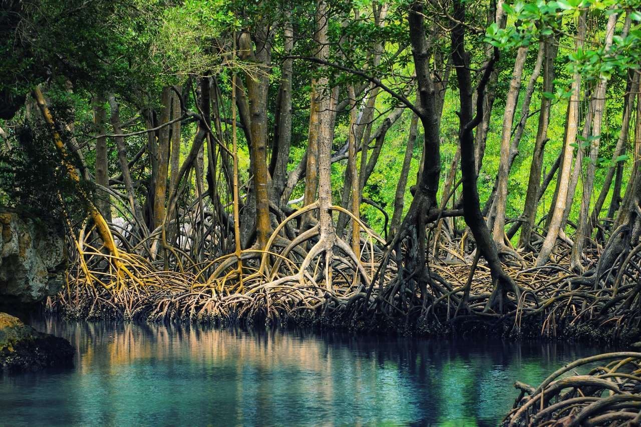 Public ferry from Sabana de la Mar to Samana — Guided tour and outdoor activity