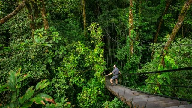 Land of Senses (Waterfalls, Hike, Thermals) by Sensoria — Guided tour and outdoor activity