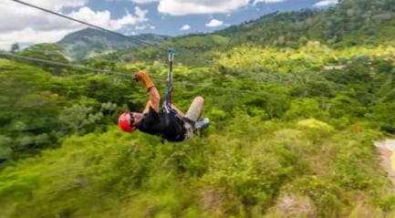 Rainforest Ziplining Adventure — Guided tour and outdoor activity